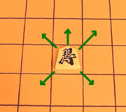 the move of the silver general in shogi (Japenese chess), a familiar move in south-east Asian chess variants